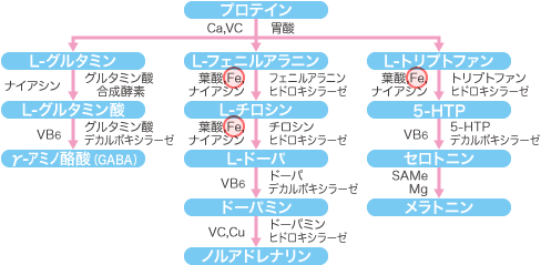 こころに必要な物質とは